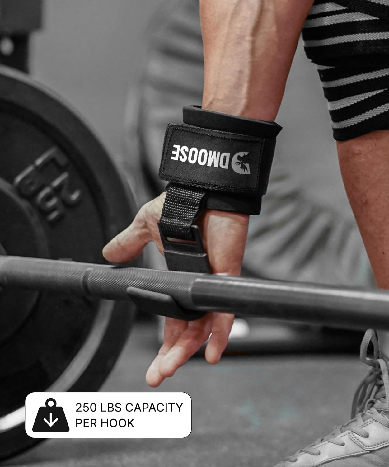 DMOOSE Lifting Hooks